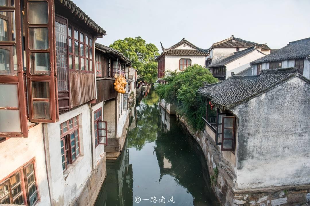 水羊股份:自有+代理业务优化带动毛利提升,运营强化控费能力
